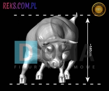 bull-front