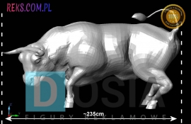 bull-side